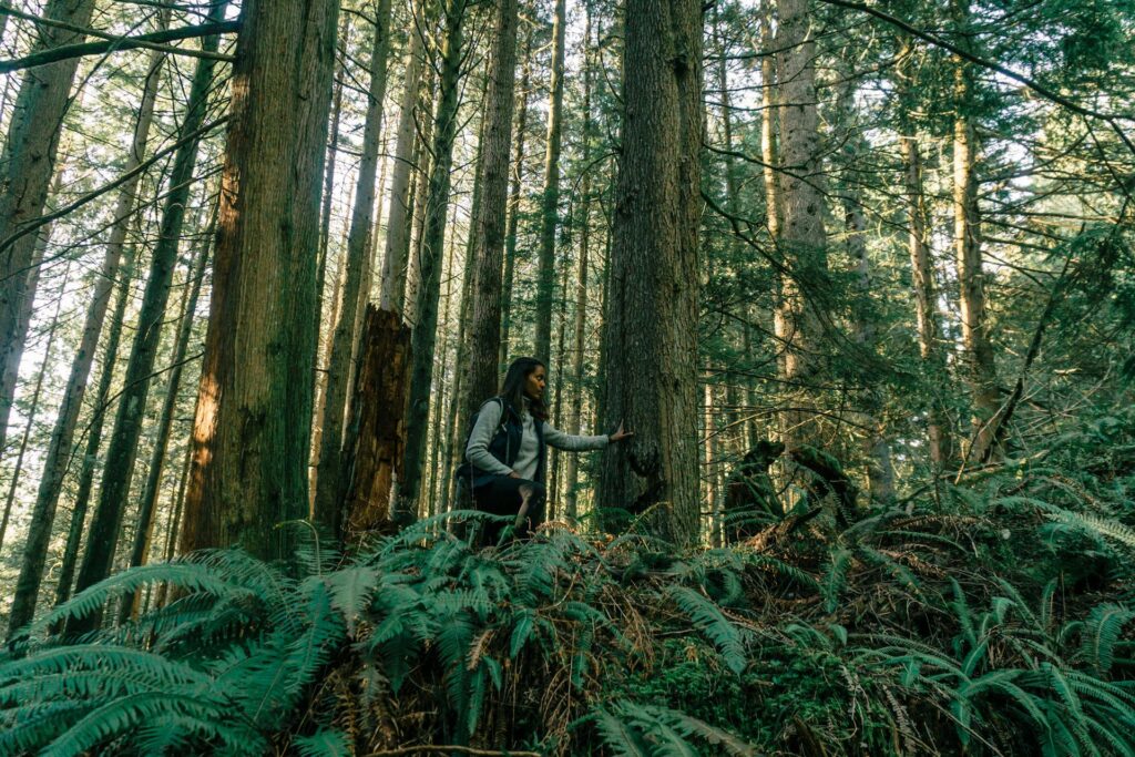 pexels-pnw-prod-7625257